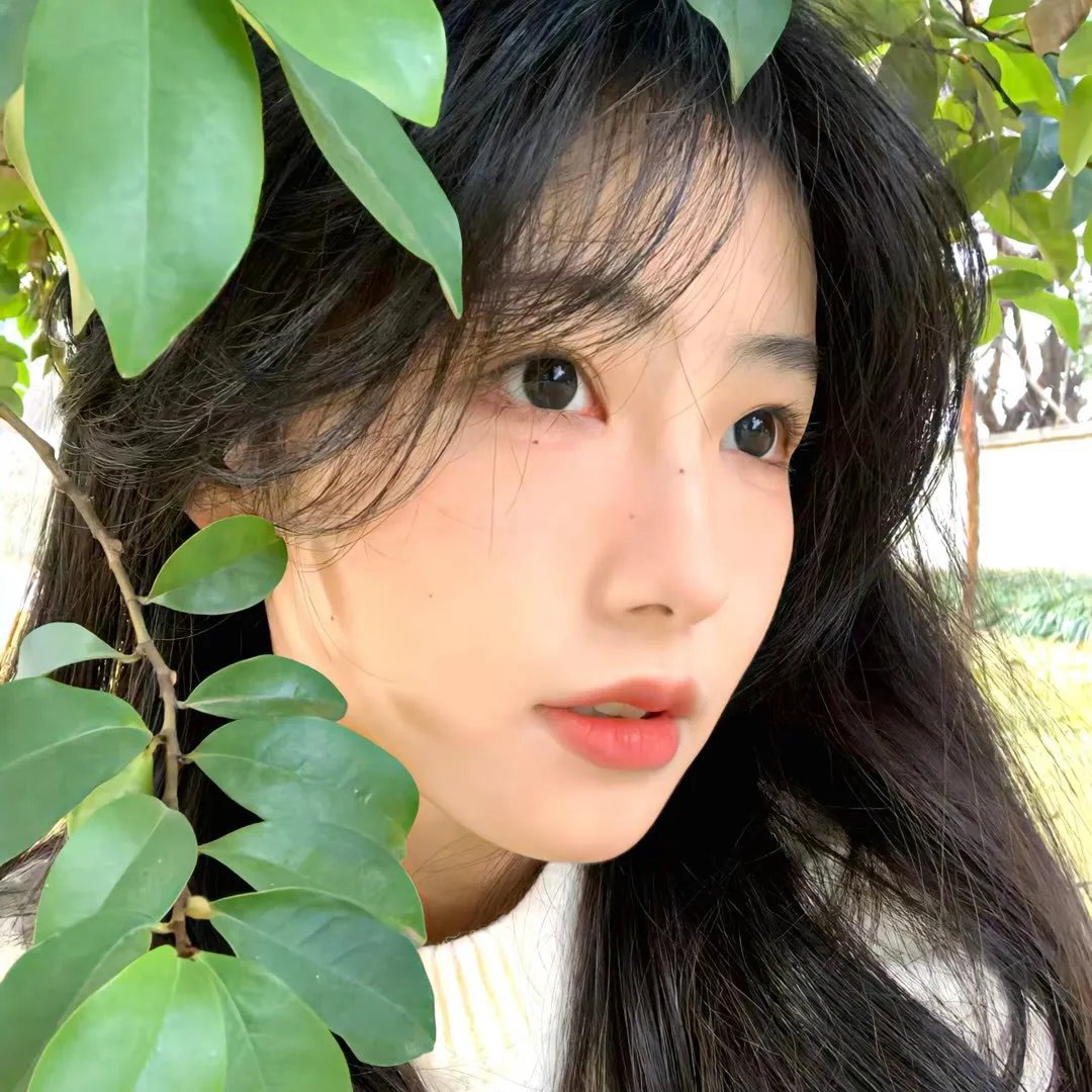 林中绮谭